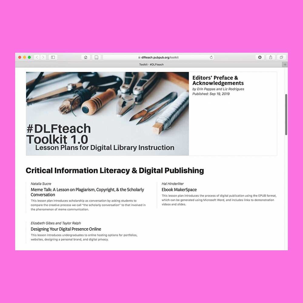Screen shot of the DLF Toolkit website